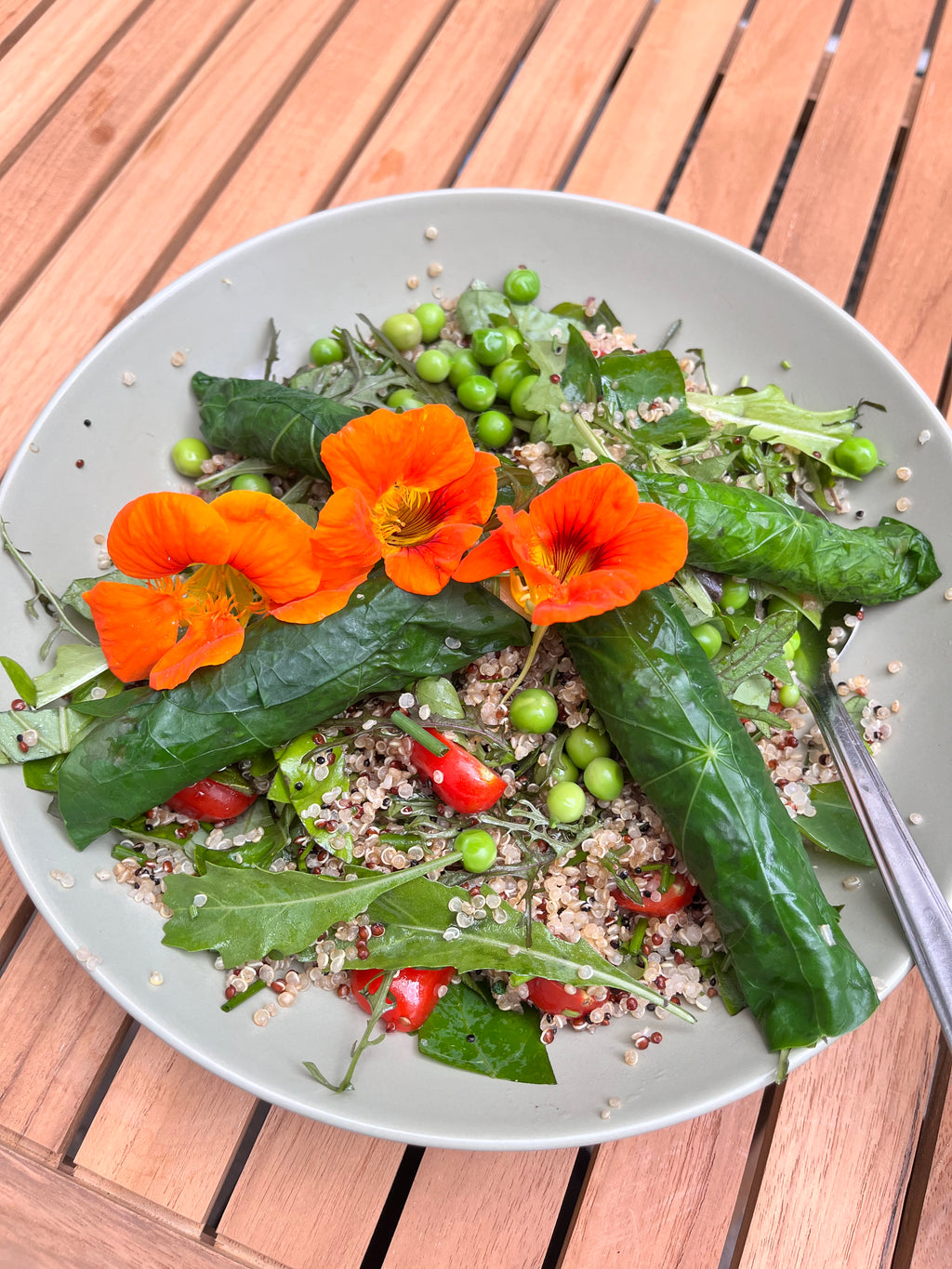 Privé wildpluk lunch & workshop planteninkten maken