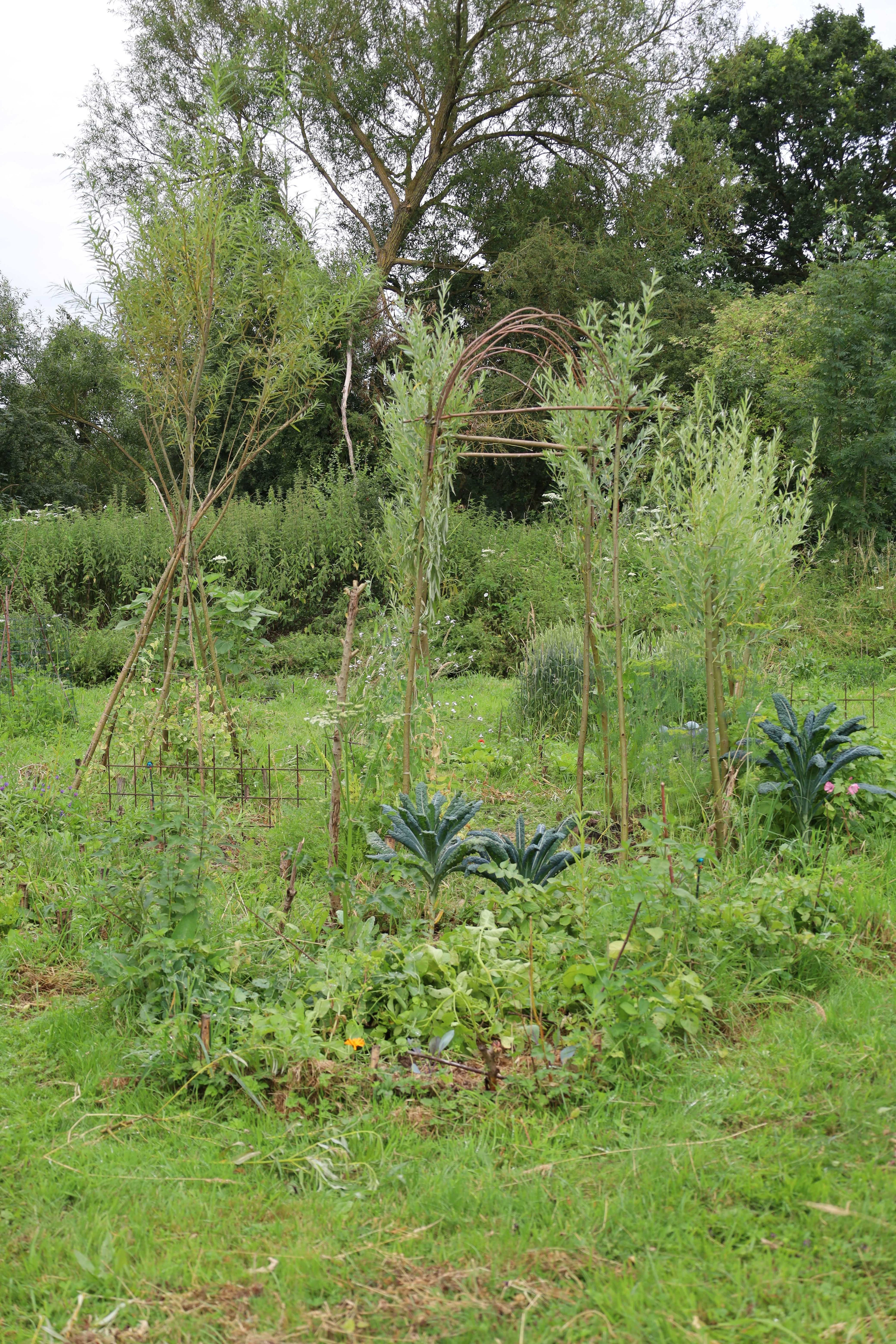 Privé wildpluk lunch & workshop planteninkten maken
