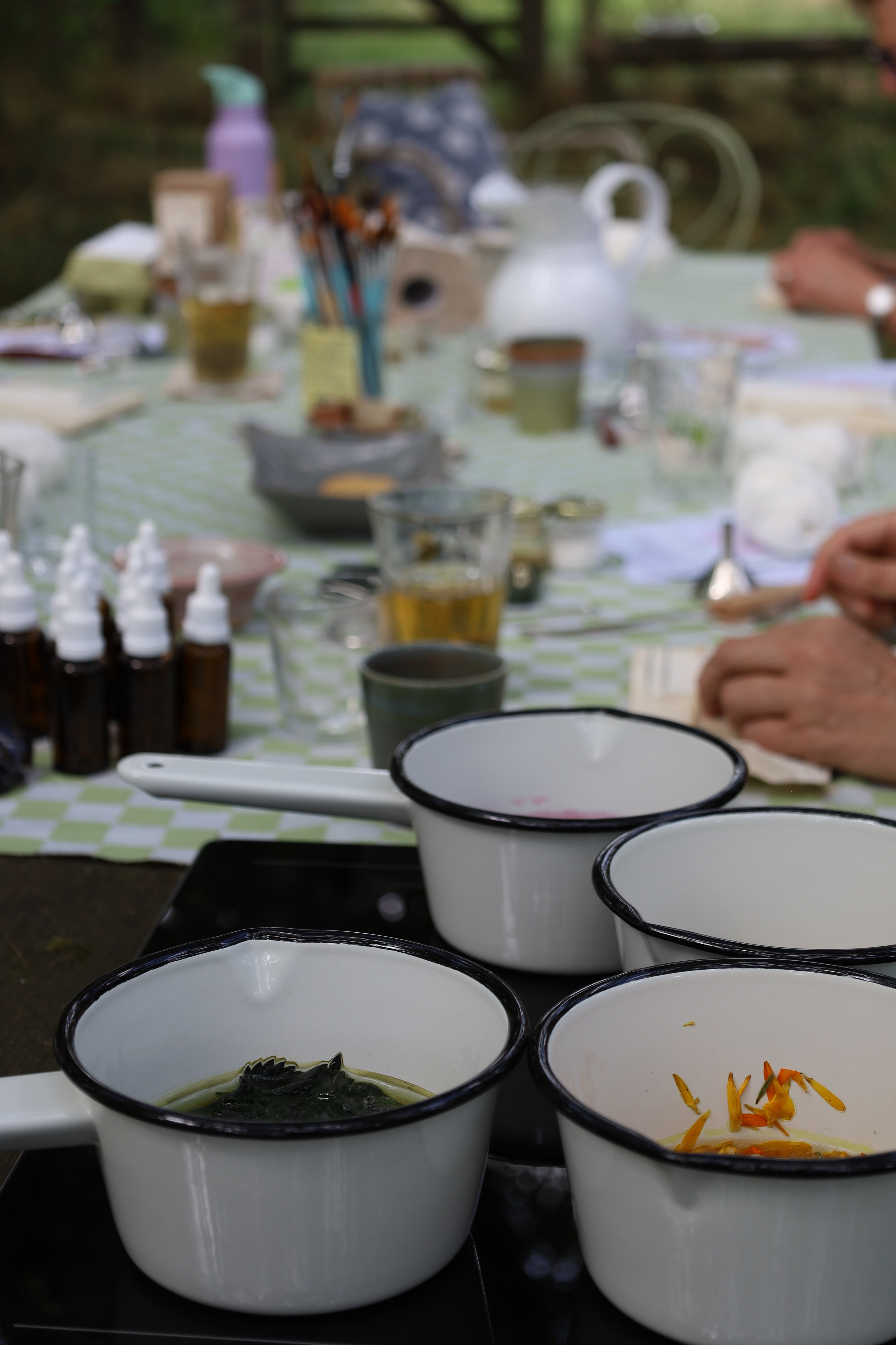 Korte workshop planteninkt maken - voor groepen & evenementen
